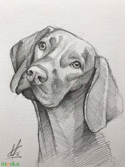 Cute Realistic Animal Drawings, Dog Pencil Drawings Sketches, Realistic Drawings Animals, Animals Sketches Pencil, Animal Drawings Sketches Pencil, Sketch Ideas Animals, Animal Sketches Realistic, Dog Drawing Sketches, Dog Drawing Pencil