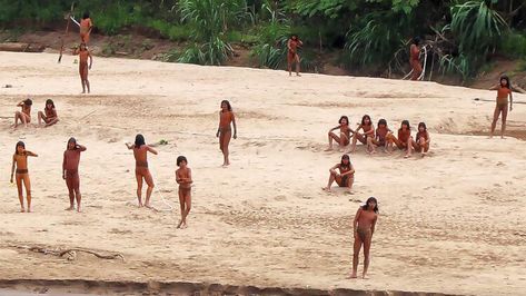 Images released of uncontacted Amazon rainforest tribe in Peru seen near logging site — ABC News Rainforest Tribes, Giant African Land Snails, Ventura County California, Paris Tourism, Peruvian Amazon, Western Lowland Gorilla, Columbus Zoo, Ventura County, Watch Photo