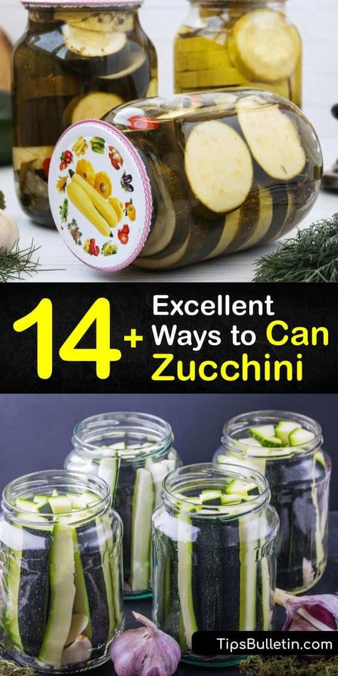 Pressure Canning Zucchini Recipes, Can Zucchini Be Canned, Pressure Canning Zucchini, How To Process Zucchini, Vegan Pressure Canning Recipes, Can You Can Zucchini, Canning Recipes Zucchini, Zucchini Recipes For Canning, Water Bath Zucchini