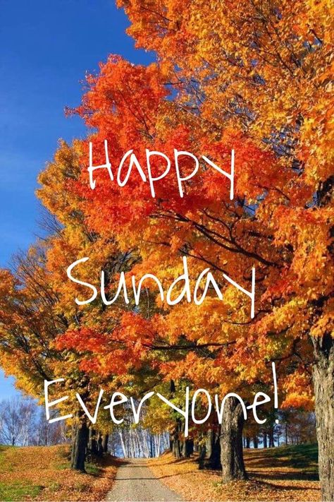 Good morning my beautiful girls. Happy Sunday :) Sunday Morning Images, Happy Sunday Images, Good Morning Sunday Images, Happy Sunday Morning, Sunday Morning Quotes, Good Sunday Morning, Sunday Greetings, Sunday Wishes, Sunday Blessings