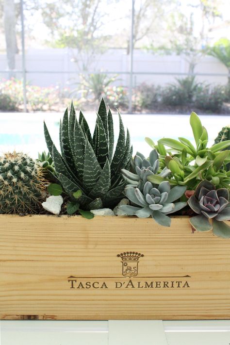 DIY succulent centerpiece in wood wine box Wine Box Crafts, Wine Box Ideas, Diy Succulents Centerpiece, Succulent Arrangements Diy, Wood Box Decor, Succulent Wedding Centerpieces, Wine Crates, Succulent Centerpiece, Wood Wine Box