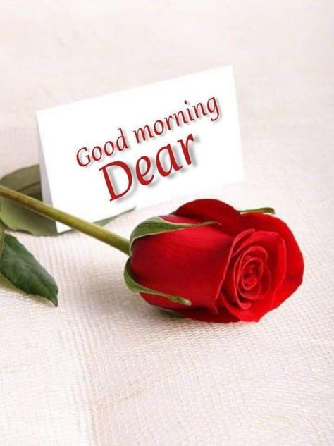 Love Good Morning Images Download, Good Morning Rose Images, Morning Massage, Swollen Belly, Romantic Good Morning Messages, Good Morning Massage, Good Morning Dear Friend, Lovely Good Morning Images, Good Morning My Friend