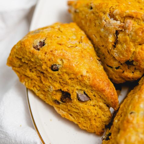 Chocolate Chip Pumpkin Scones Choc Chip Scones, Cream Scones Recipe, Pumpkin Scones Recipe, Breakfast Pastry, Scones Ingredients, Pumpkin Scones, Cream Scones, Breakfast Pastries, Semi Sweet Chocolate Chips