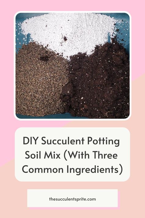 With just these three essential elements, I was confident that I could rescue my succulents from an inevitable demise before it became irreversible. Succulent Diy, Succulent Soil, Growing Succulents, Succulent Gifts, Succulent Arrangements, Forever Grateful, Succulents Diy, Potting Soil, Perfect Party