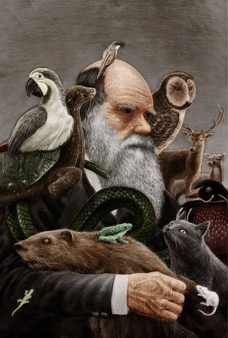 Charles Darwin Evolution, Darwin Evolution, Growth And Evolution, Evolution Art, Biology Art, Science Illustration, Charles Darwin, Primates, Science Art