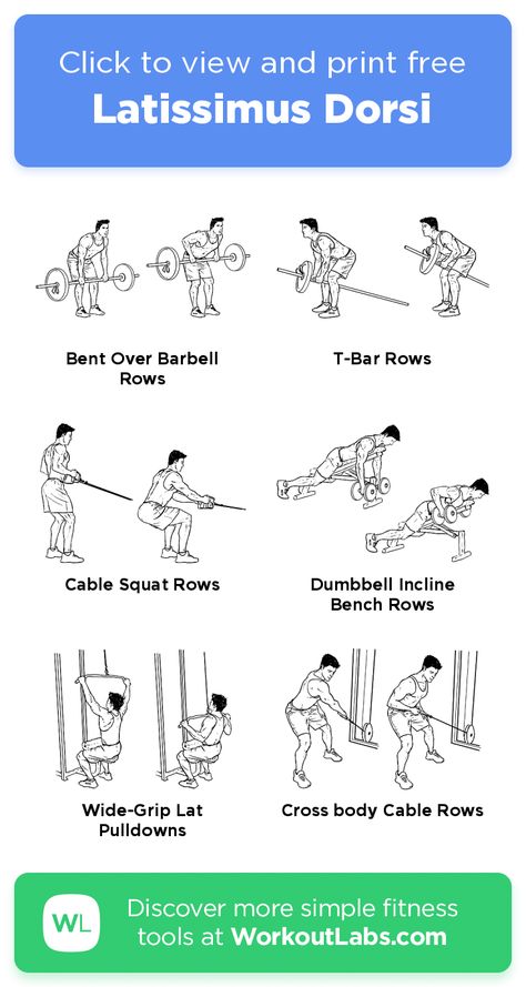 Latissimus Dorsi – click to view and print this illustrated exercise plan created with #WorkoutLabsFit Lats Exercises, Latissimus Dorsi Workout Women, Lat Exercises At Home, Exercises For Lats At Home, Exercise For Latissimus Dorsi, Lat Muscle Workout At Home, Lattisimus Dorsi Exercise, Lats Home Workout, Latimuss Dorsi Workout