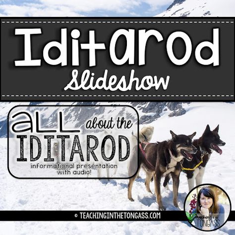 iditarod classroom activities and iditarod lesson ideas Iditarod Crafts, Iditarod Lessons, Iditarod Activities, Activities For The Classroom, Classroom Engagement, Upper Elementary Reading, Snow Activities, 6th Grade Ela, Scavenger Hunts