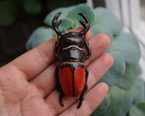 RED DEER BEETLE / Deer beetle hair clip Red Beetle hair clip | Etsy Beetle Accessories, Red Beetle, Cool Bugs, Stag Beetle, Gifts For Aunt, Beautiful Bugs, Red Deer, Pottery Crafts, Crustaceans