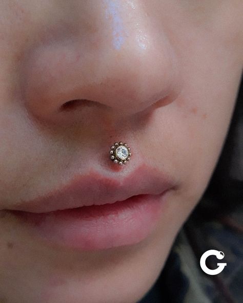 Una perforación que está ganando nuevamente popularidad, hablamos del Philtrum Piercing, también conocido como medusa piercing. Está perforación se realiza en el área del filtrum que es la hendidura vertical del labio que se encuentra en el centro del labio superior y se extiende hasta la nariz. Tenemos gran variedad de joyería de alta calidad para tu perforacion de philtrum y más! Conocenos! Piercing Medusa, Philtrum Piercing, Piercing Inspo, Medusa Piercing, Body Modifications, Piercing Tattoo, Nose Piercing, Piercing Jewelry, Tattoos And Piercings