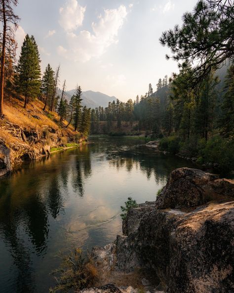 Golden moments on the river of no return. Did you know crystal clear waters cut through stunning forests in the heart of Idaho? The only way to experience the beauty of the Middle Fork of the Salmon River is via permits, or with a guide company! I just had the adventure of a lifetime with @middleforksalmonriverrafting 📍 Middle Fork of the Salmon River Can’t wait to share more of this trip with you!! 📷✨🌊 #idaho #rivertrip #landscapeart #natureishealing #sonyalphafemale #sonyshooter #... Idaho Forest, River Of No Return, Idaho Scenery, Sawtooth Mountains Idaho, Red Fish Lake Idaho, Salmon River Idaho, Golden Moments, Salmon River, River Trip