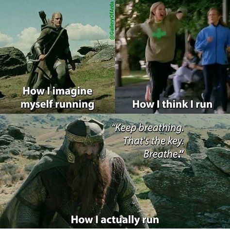 Lotr Memes Funny, Tolkien Funny, Lotr Funny, Into The West, Movie Memes, Memes Hilarious, Thranduil, The Lord Of The Rings, Jrr Tolkien