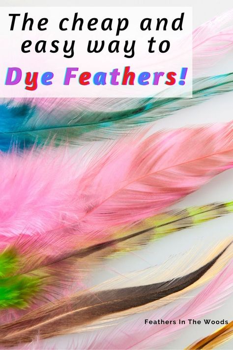 Chicken Feather Crafts, Feather Crafts Ideas, Feather Art Projects, Feather Earrings Diy, Feather Ideas, Colored Feathers, Dipped Feathers, Feather Crafts Diy, Feather Flowers