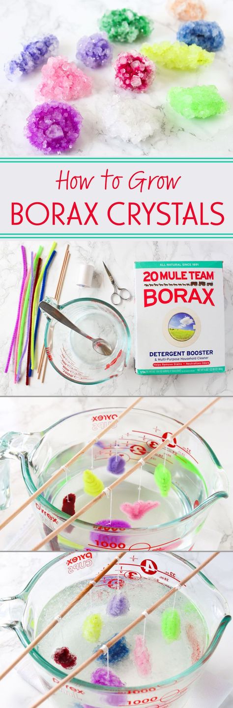 Growing Borax crystals is a fun science experiment that you can do easily and cheaply at home! Borax Crystals, Kid Science, Kid Experiments, Cool Science Experiments, Kids Science, E Mc2, Science Experiment, Science Experiments Kids, Science Fair