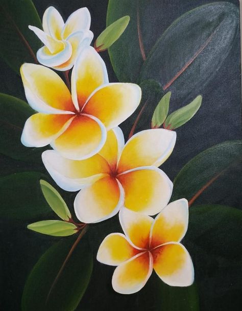 Tropical Flower Painting Acrylic, Hawaiian Flower Painting Easy, Painted Hibiscus Flower, Plumeria Flowers Painting, Plumeria Flowers Drawing, Hawaiian Flower Painting, Tropical Flowers Painting, Plumeria Painting, Sunflower Drawing Easy