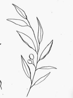 Olive Branch Line Art Tattoo, Olive Branch Tattoo Linework, Olive Branch Line Tattoo, Olive Branch Line Drawing, Be In The Moment Tattoo, Olive Branch Line Art, Simple Olive Branch Tattoo, Dainty Leaf Tattoo, Zweig Tattoo