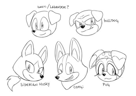 Sonic Dog References by Drawloverlala Sonic Dog Oc, Sonic Base Drawing, Sonic Oc Reference Sheet, Sonic Reference Poses, Drawloverlala Sonic, How To Draw Sonic Characters Easy, Sonic Tutorial, Sonic Eyes, Sonic Hands Reference