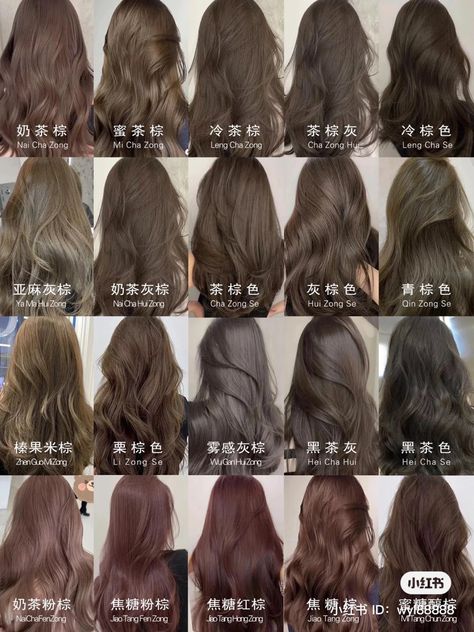 Subtle Hair Colors For Dark Hair, Ash Brown Vs Chocolate Brown, Asian Hair Color Ash Brown, Asian Light Hair Color, Brown Hair Shades For Fair Skin, Brown Hair Blue Undertone, Hair Dye Colors For Asians, Milk Tea Brown Hair On Tan Skin, Dark Chocolate Ash Brown Hair