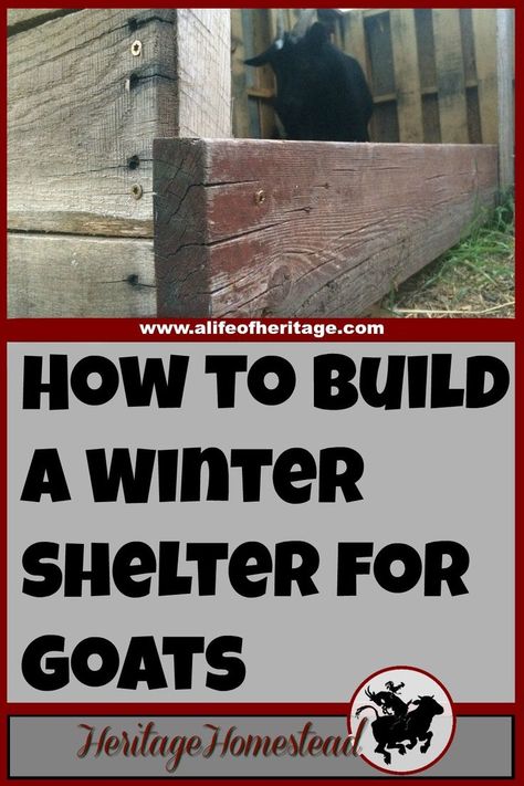 Goats | Goat Shelter | Goats in Winter | Pallet Shelter | A simple and effective pallet goat shelter that is large enough to hold more than two or three goats. It will keep off the rain, snow and cold! Pallet Goat House, Goat House Diy, Shelter For Goats, Pallet Goat Shelter, Pallet Shelter, Goat Shelters, Winter Pallet, Miniature Cattle, Goat Shed