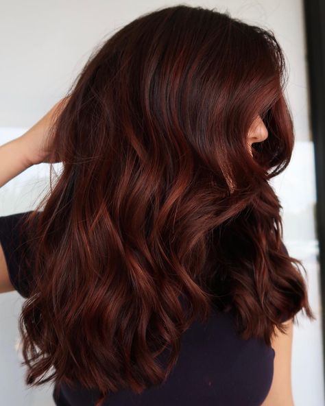 Dimensional Deep Mahogany Brown Hair Red Highlights Hair, Highlights Hair Ideas, Beautiful Dark Brown Hair, Mahogany Hair Color, Pictures Of Red, Red Highlights In Brown Hair, Chestnut Highlights, Red Brown Hair Color, Deep Red Hair