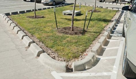 Curb cuts such as these are the poster child for integrated storm water management, so why not just go curbless? Storm Water Management, Guerrilla Gardening, Yard Drainage, Storm Water, Civil Engineering Design, Public Realm, Water Management, Cut Image, Parking Design