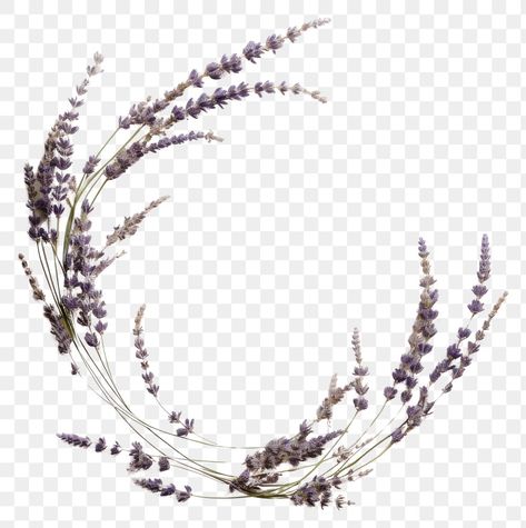 White Flower Png, Pressed Lavender, Vintage Lavender, Dried Flower Wreaths, Flower Wreaths, Wreath Accessories, Lavender Flower, Dry Flower, Planting Herbs