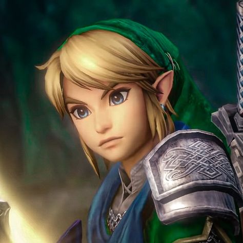 Hyrule Warriors Definitive Edition, Legend Of Zelda Hyrule Warriors, Hyrule Warriors Link, Link Twilight Princess, Link Icon, Zelda Hyrule Warriors, Zelda Twilight Princess, Hyrule Warriors, Link Zelda