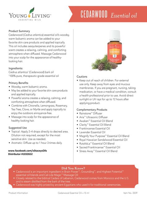 Young Living Essential Oils - Cedarwood - Learn more about Young Living Essential Oils and how they can support your health – contact me! www.facebook.com/xStaceysOils Distributor# 1032652 Cedarwood Young Living, Cedarwood Essential Oil Young Living, Young Living Cedarwood, Diy Essential Oil Recipes, Cedarwood Essential Oil, Living Essentials Oils, Virtual Office, Young Living Oils, Favorite Skincare Products