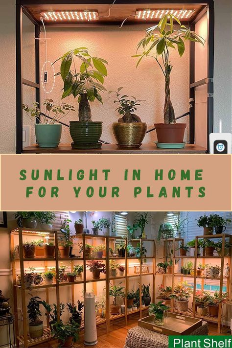 Grow Lights for Indoor Plants, Sunlike Light for Hydroponics, Succulents & More. SUPER Easy to Assemble Plant Room With Grow Lights, Plant Shelf Grow Light, Plant Wall Shelf Ideas With Grow Lights, Indoor Plant Grow Light Set Up, Plant Shelf With Grow Light, Indoor Grow Light Ideas, Grow Light Stand, Indoor Grow Lights, Best Grow Lights