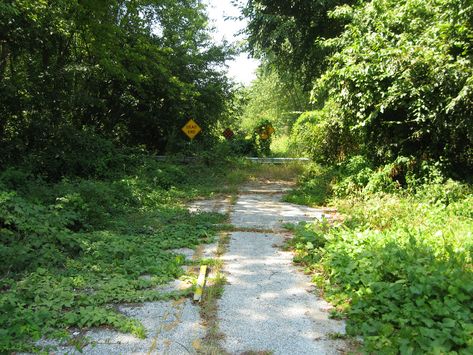 Abandoned Road, Abandoned Nature Aesthetic, Abandoned Road Aesthetic, Abandoned Overgrown Aesthetic, Road Drawing, Abandoned Field, Abandoned Highway, Farm Town, Dangerous Roads