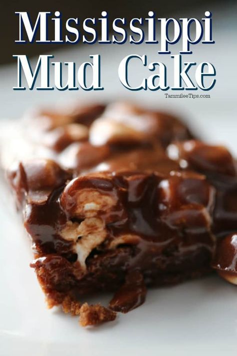 Mississippi Mud Cake With Box Cake, Missippi Mud Cake, Mississippi Cake, Mud Brownies, Mud Cake Recipe, Southern Cakes, Mississippi Mud Cake, Chocolate Lava Cake Recipe, Mud Cake Recipes