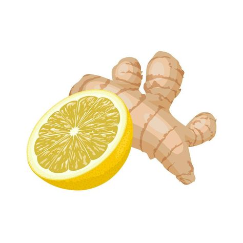 Vector illustration, ginger and lemon, natural medicine, anti-flu ingredients, isolated on white background. Ginger Illustration Design, Ginger Illustration, Ginger And Lemon, Ginger Shot, Level 5, Business Model, Design Posters, Natural Medicine, Kombucha