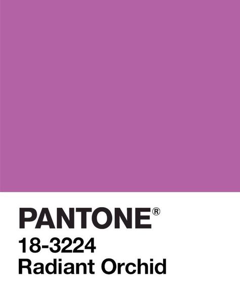 PANTONE Color of the Year 2014: Radiant Orchid Colour Shades, Aesthetic Color, Pantone Color Of The Year, Orchid Color, Whoop Whoop, Radiant Orchid, Purple Orchids, Color Story, Door Color