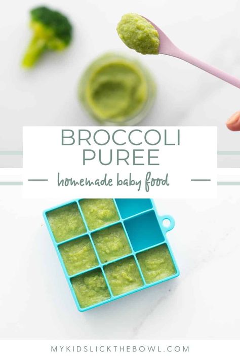 Broccoli puree is a nutrient packed green vegetable puree perfect first food for baby. Stage one puree. Baby Vegetable Puree, Broccoli Puree Baby, Broccoli Baby Food Recipe, Broccoli For Baby, Broccoli Baby Food, Baby Broccoli Recipe, Make Your Own Baby Food, Broccoli Puree, Baby Purees