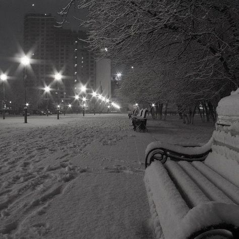 Park Benches, Winter City, Snowy Weather, I Love Winter, Gray Winter, Winter Scenery, Snowy Day, Winter Pictures, Winter Night