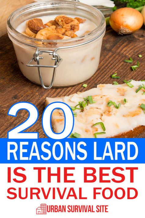 There are many great survival foods, but lard is the best because it's calorically dense and you can use it for all sorts of other things. Kids Survival Skills, Best Survival Food, Emergency Preparedness Food Storage, Survival Food Storage, Deep Pantry, Survival Foods, Emergency Preparedness Food, Shtf Preparedness, Survival Hacks