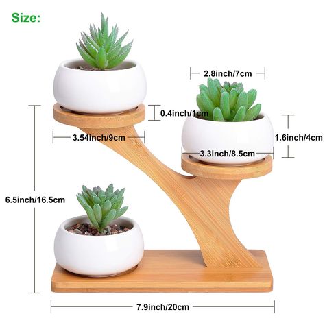 Mini Cactus Pots, Kaktus Dan Sukulen, Wooden Plant Pots, Ceramic Succulent Pots, Support Pour Plante, Ceramic Succulent, Wooden Plant Stands, Garden Mini, Diy Plant Stand