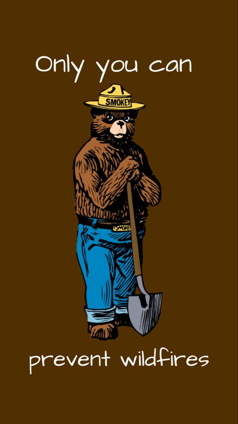 Smokey Bear Wallpaper, Smokey The Bear Wallpaper, The Bear Wallpaper, Smoky The Bear, Guy Tattoos, Bigfoot Pictures, Smokey The Bear, Smokey Bear, Smokey The Bears