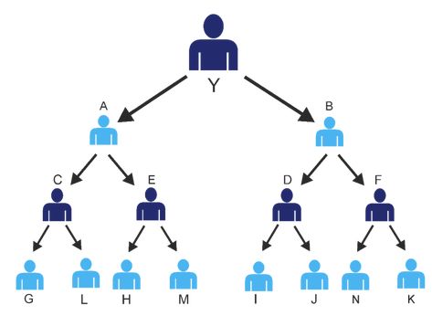 Binary MLM Compensation Plan, MLM Software & How it works? : LETSCMS PVT. LTD. Multi Level Marketing Business, Mlm Plan, Binary Tree, Mlm Companies, Mlm Business, Network Marketing Business, Business Software, Direct Selling, Affiliate Marketing Programs