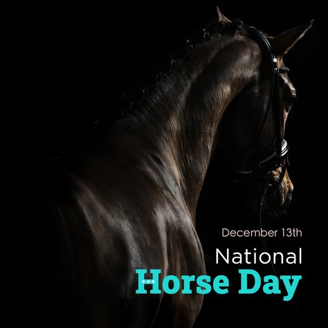 National Horse Day, National Celebration Days, Posting Ideas, National Day Calendar, Day Calendar, December Holidays, Celebration Day, Online Calendar, December 13