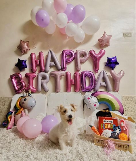 Celebrating our furbaby’s first birthday! #dogparty #barkday #birthday #dog Dog Birthday Decorations, Dog Pool Party, Happy Barkday, Dog Party Ideas, Celebrating Birthday, Melting Moments, Dog Pool, Birthday Dog, Dog Birthday Party