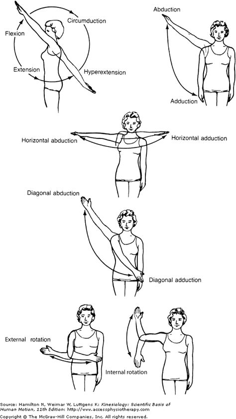 Bursitis Shoulder, Body Muscle Anatomy, Punkty Spustowe, Hata Yoga, Physical Therapy School, Lung Sounds, Physical Therapy Student, Manual Therapy, Knee Strengthening Exercises