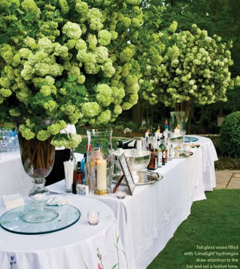 Bouquet Champetre, Limelight Hydrangea, Flowers In Vases, Hydrangea Arrangements, Backyard Entertaining, Fool Proof Recipes, Deco Floral, Entertaining Ideas, Center Pieces