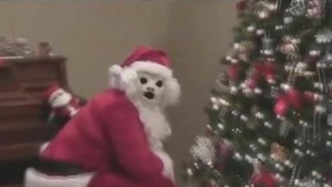 pic of Santa Claus with scary white face Shocked Pikachu, Pikachu Face, Cursed Pictures, Whimsical Santa, Santa Crafts, Christmas Memes, Current Mood Meme, Christmas Tree And Santa, Santa Claus Is Coming To Town