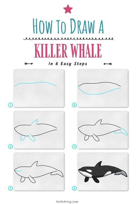 Step by step images demonstrating how to draw a killer whale drawing - A Drawing Tutorial for Beginners! Killer Whale Drawing, Under The Sea Drawings, Cool Drawings For Kids, Full Drawing, Whale Drawing, Sharpie Drawings, Ocean Drawing, Landscape Pencil Drawings, Drawing Tutorials For Beginners