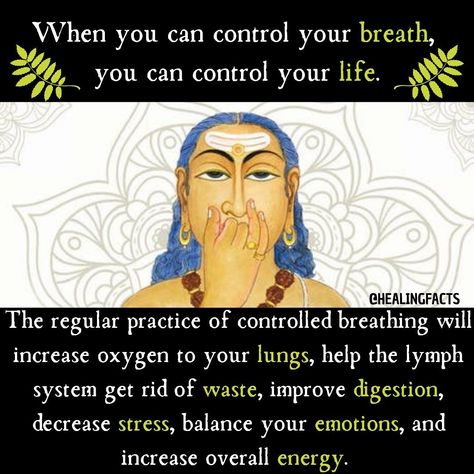 HEALING FACTS 𓂀𓆙𓆣 on Instagram: “Pranayama is the formal practice of controlling the breath, which is the source of our prana, our vital life force. ▪️ “When the breathe…” Prana Breathing, Pranayama Breathing, Hand Mudras, Lymph System, Yoga Breathing, Breathing Meditation, Wild Tattoo, Deep Breathing, Health Heal