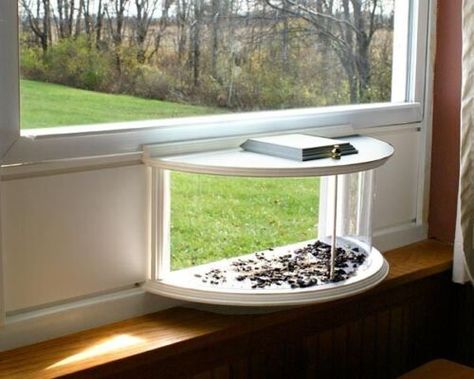 Window Bird Feeder, Plastic Window, Indoor Window, Double Hung Windows, Pvc Panels, Plastic Windows, House Window, Clear Windows, A Prayer