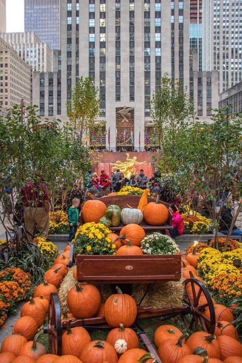 Fall In Manhattan, Halloween In Nyc Aesthetic, Fall In New York Aesthetic, Nyc Halloween Aesthetic, Halloween Nyc Aesthetic, Thanksgiving In New York City, Nyc Fall Aesthetic, New York In Autumn, Nyc In October