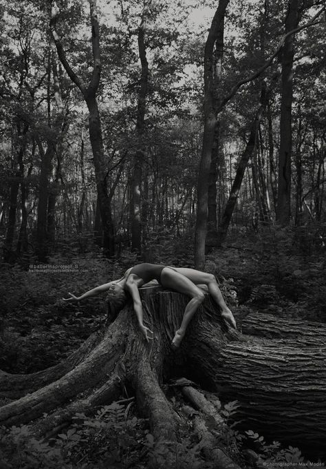 Outdoor Dance Photography, Ballerina Photography, Dance Photo Shoot, Ballerina Project, Dance Photography Poses, Nature Photoshoot, Forest Photos, Photographie Portrait Inspiration, Outdoor Shoot