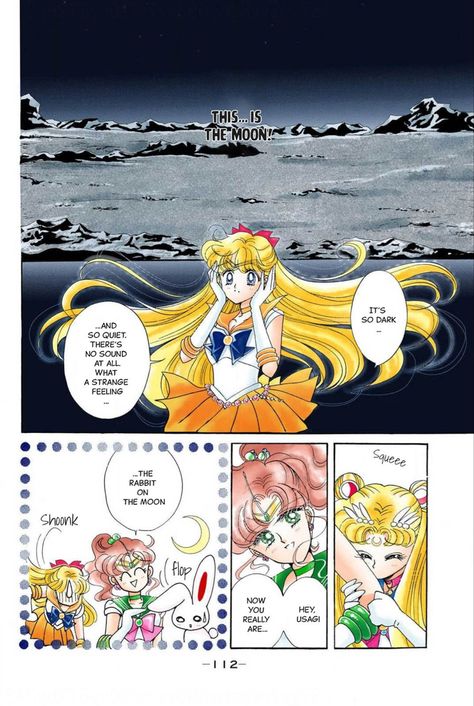 Sailor Moon Manga Panels, Sailor Moon Official Art, Naoko Takeuchi Art, Sailor Moon Naoko Takeuchi, Sailor Moon Wiki, Macoto Takahashi Art, Manga Pannel, Sailor Moon Meme, Sailor Moon Official