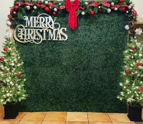 Christmas Flower Wall Backdrop, Grass Wall Christmas Backdrop, Diy Xmas Backdrop, Photobooth Christmas Backdrop, Christmas Selfie Wall Ideas, Photobooth Ideas For Christmas, Christmas Event Backdrop, Christmas Wall Backdrop, Outdoor Christmas Backdrop